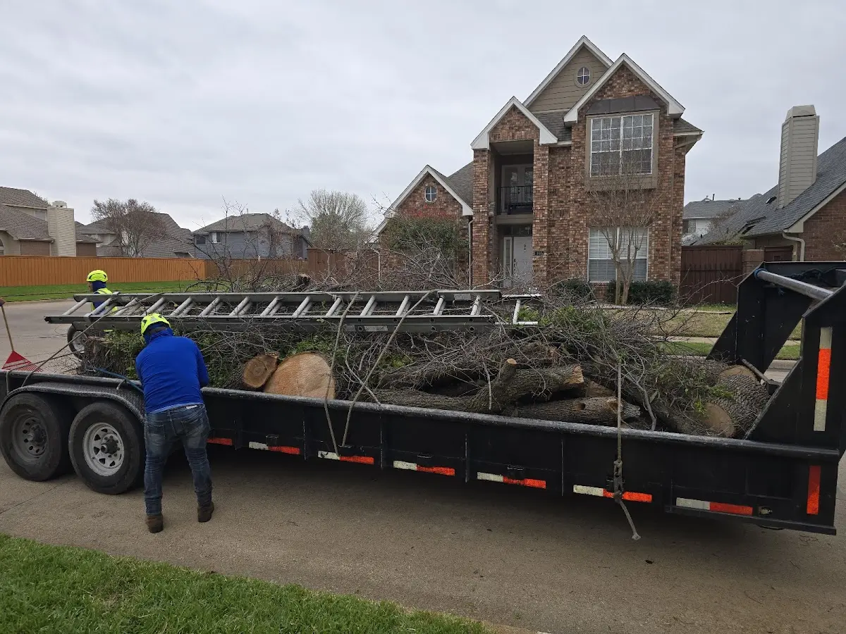 Expert Lot Clearing with proper safety equipment in Burnside